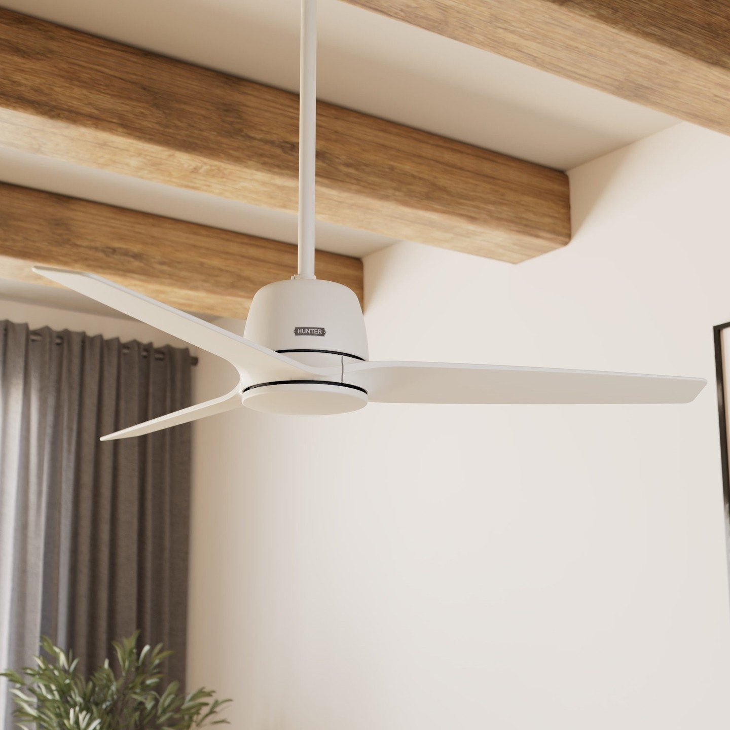 Ceiling Fans